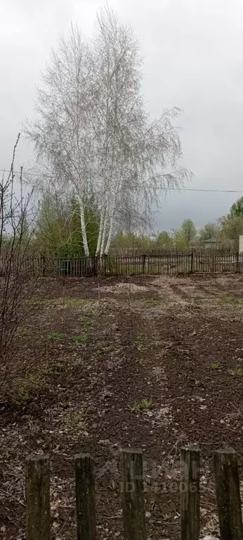 Участок в Омская область, Омск СОСН Аэрофлот тер.,  (8.0 сот.) - Фото 1