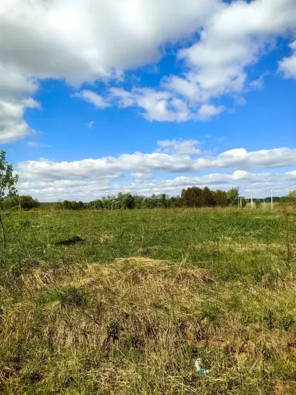 Участок в Московская область, Чехов городской округ, Дубровка СХ2 тер. ... - Фото 0