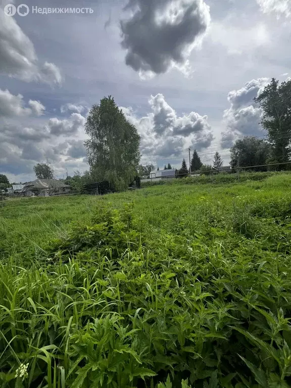 Участок в Нижегородская область, Богородский муниципальный округ, село ... - Фото 0