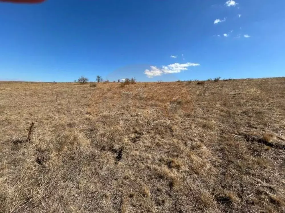 Участок в Крым, Симферопольский район, Чистенское с/пос, с. Камышинка ... - Фото 2