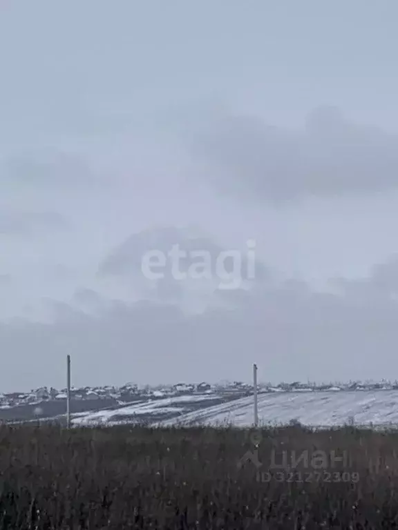 Участок в Белгородская область, Белгородский район, Головинское с/пос, ... - Фото 2