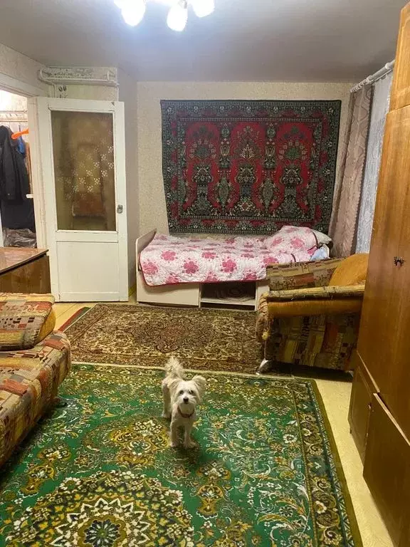 1-к кв. Владимирская область, Кольчугино ул. Добровольского, 21 (30.0 ... - Фото 0