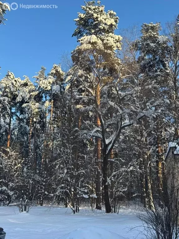 2-комнатная квартира: Московская область, городской округ Домодедово, ... - Фото 2