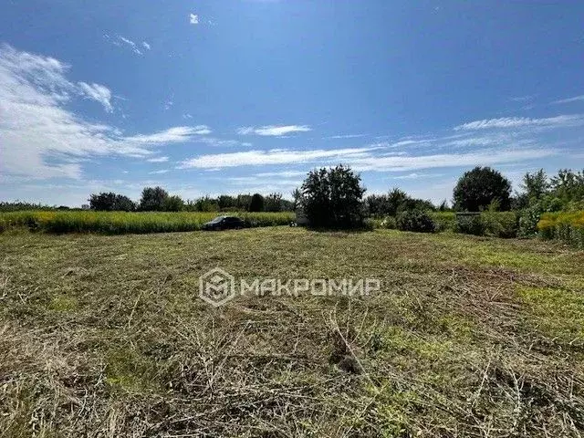 Участок в Брянская область, Брянский район, Снежское с/пос, пос. ... - Фото 2