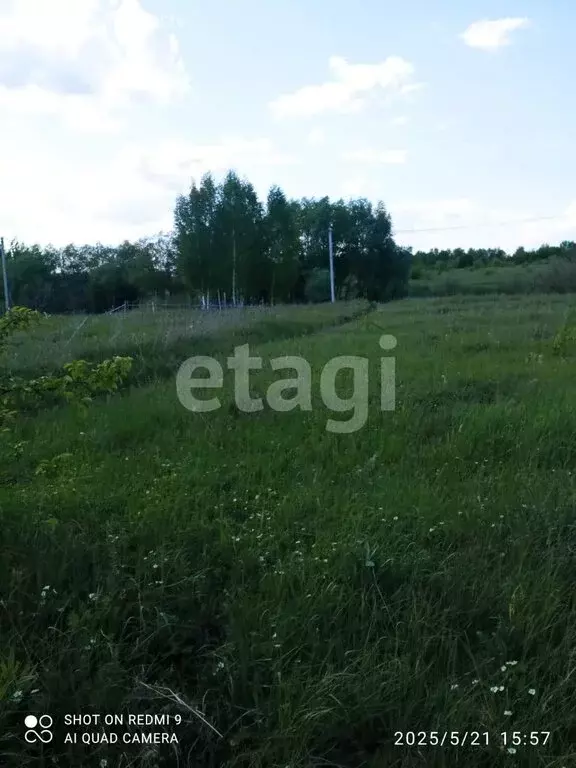 Участок в Кочкуровский район, село Сабаево (10 м) - Фото 1