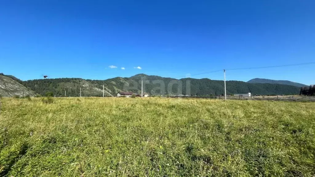 Участок в Алтай, Чемальский район, с. Анос Центральная ул., 41 (10.0 ... - Фото 2