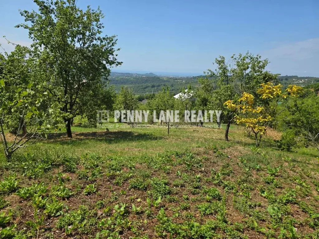 Участок в Краснодарский край, Сочи городской округ, с. Нижняя Шиловка ... - Фото 1