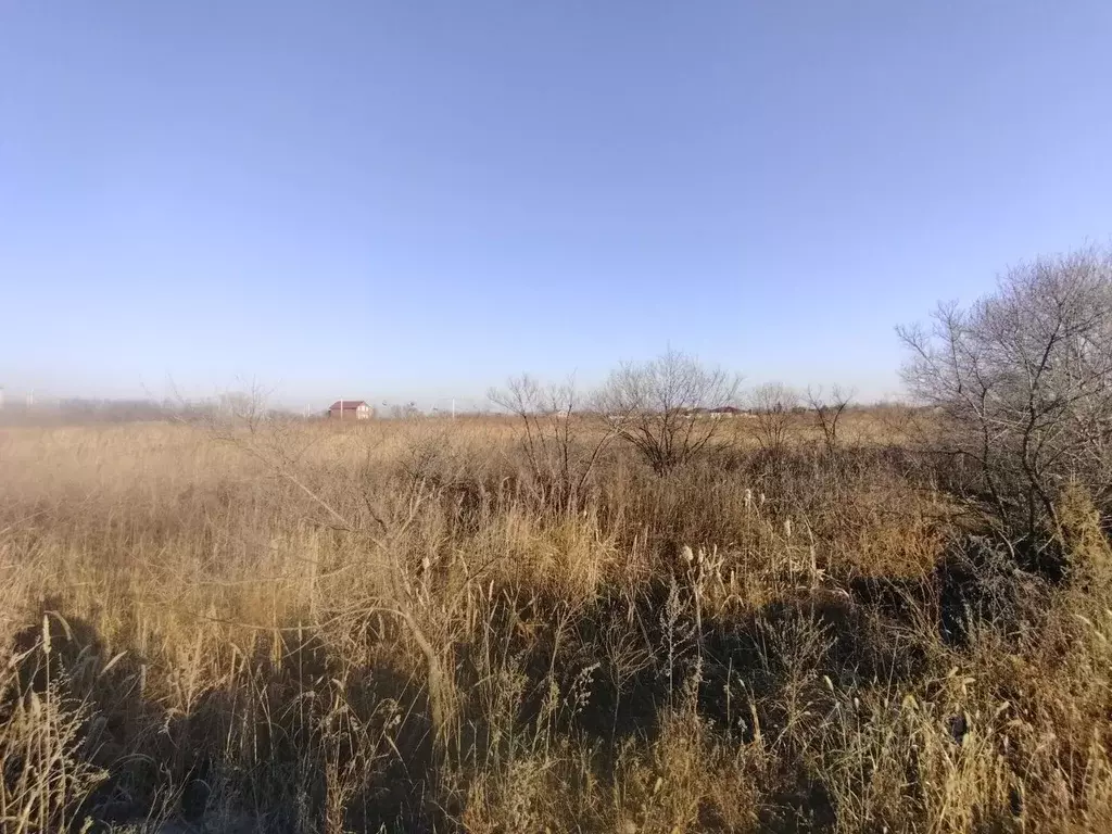 Участок в Приморский край, Октябрьский муниципальный округ, с. ... - Фото 1