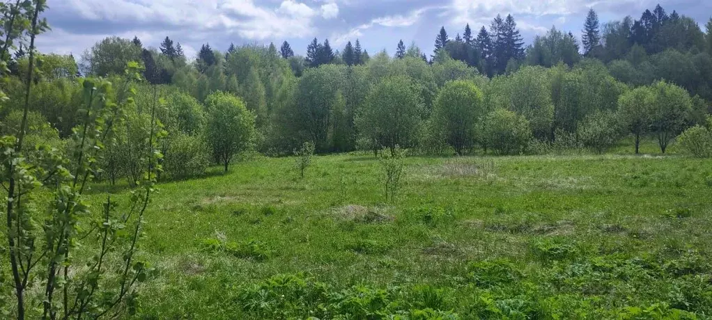 Участок в Московская область, Солнечногорск городской округ, д. Мостки ... - Фото 1