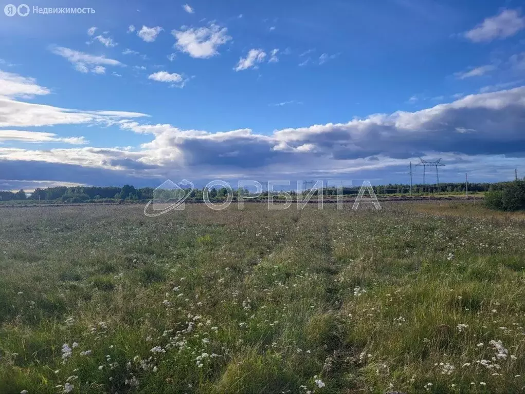 Участок в Тюменский район, село Щербак (20.25 м) - Фото 0