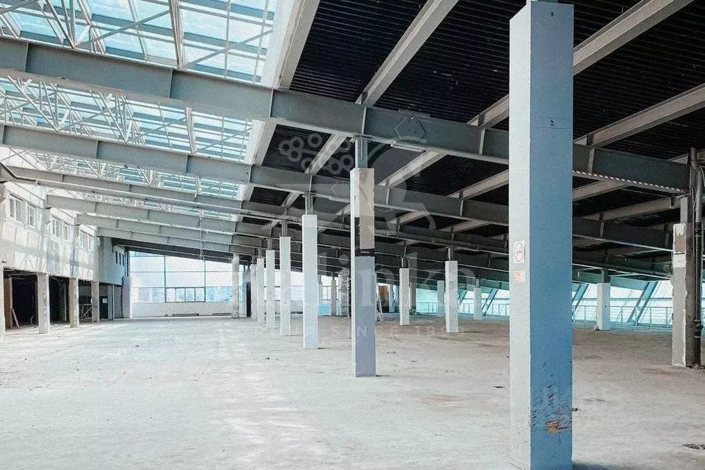 Помещение свободного назначения в Москва Кутузовский просп., 88 (3115 ... - Фото 2