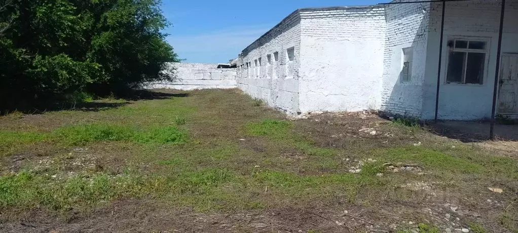Помещение свободного назначения в Ставропольский край, ... - Фото 1
