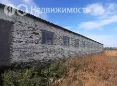 Участок в село Волотово, улица Верхняя Грачёвка (50 м) - Фото 1