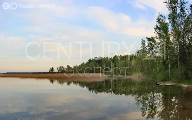 Участок в посёлок Калинино, Южная улица (12 м) - Фото 2