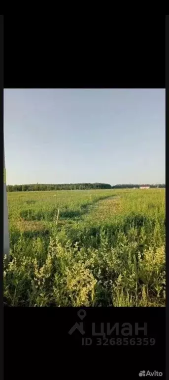 Участок в Татарстан, Пестречинский район, Богородское с/пос, д. Куюки, ... - Фото 1