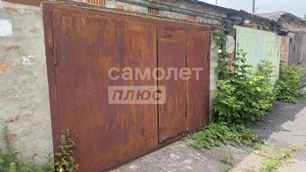 Гараж в Курская область, Курск ул. Мичурина, 150 (28 м) - Фото 1