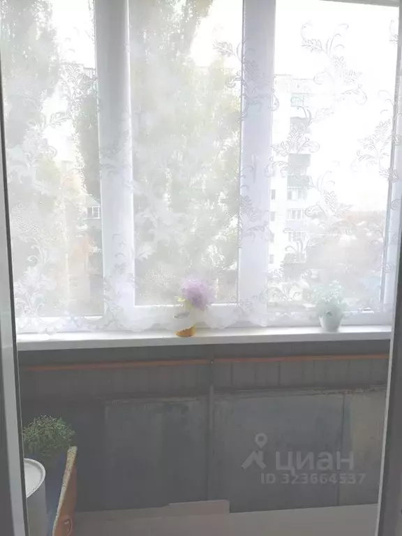 1-к кв. Курская область, Курск ул. Черняховского, 31А (21.5 м) - Фото 2