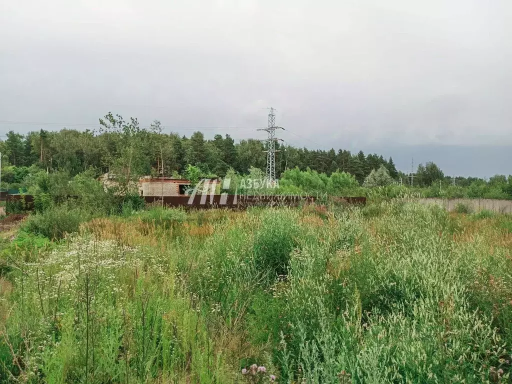 Участок в Московская область, Ногинск Богородский городской округ, ул. ... - Фото 1