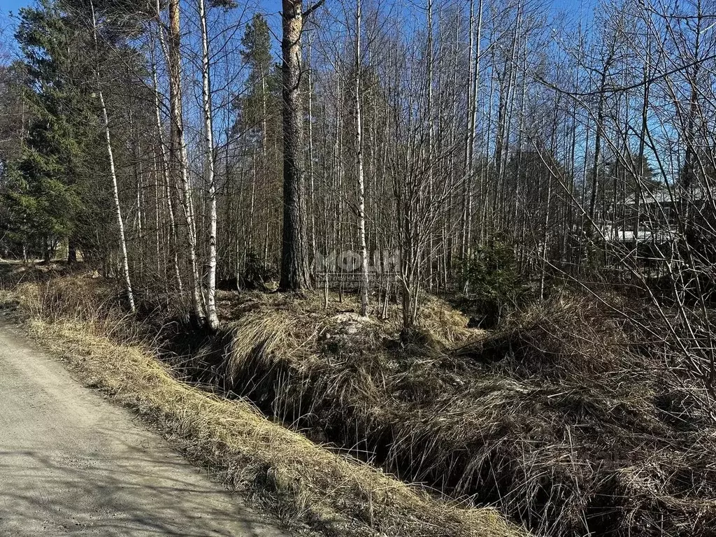 Участок в Карелия, Прионежский муниципальный район, с. Деревянное  ... - Фото 1