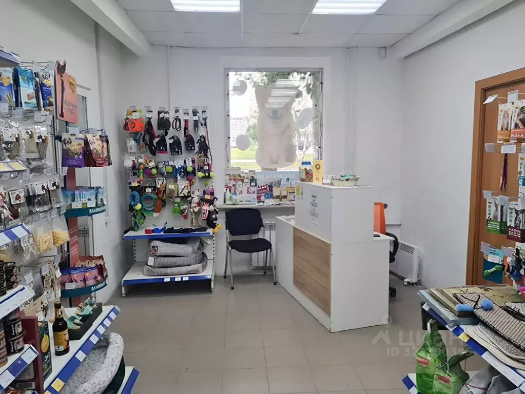 Торговая площадь в Свердловская область, Екатеринбург ул. Блюхера, 12 ... - Фото 2