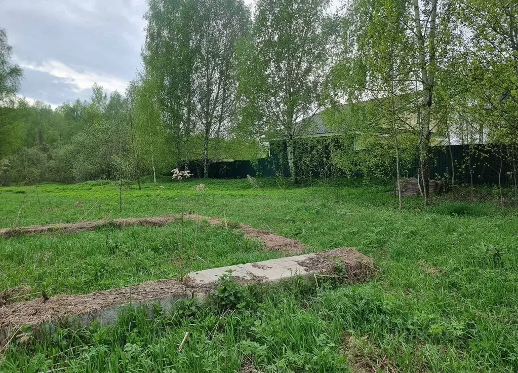 Участок в Московская область, Воскресенск городской округ, д. ... - Фото 2