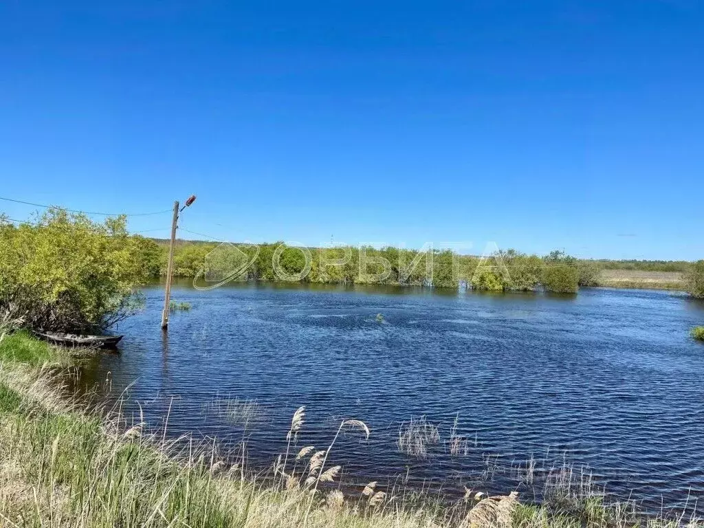 Участок в Тюменская область, Тюменский район, с. Богандинское  (9.0 ... - Фото 2