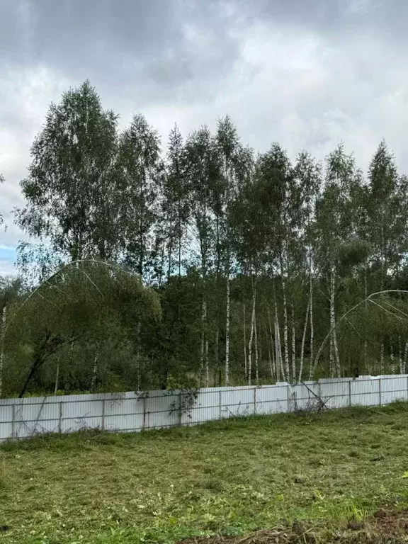 Участок в Московская область, Дмитровский муниципальный округ, д. ... - Фото 1