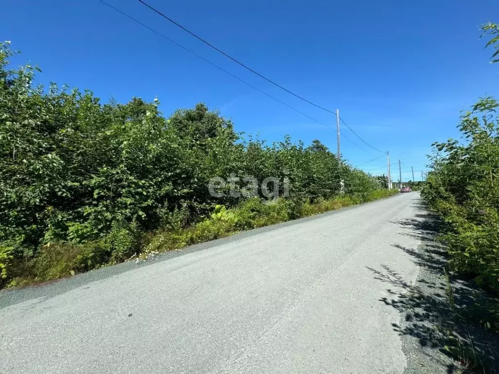 Участок в Сахалинская область, Южно-Сахалинск Эврика СНТ, 11 (11.6 ... - Фото 2