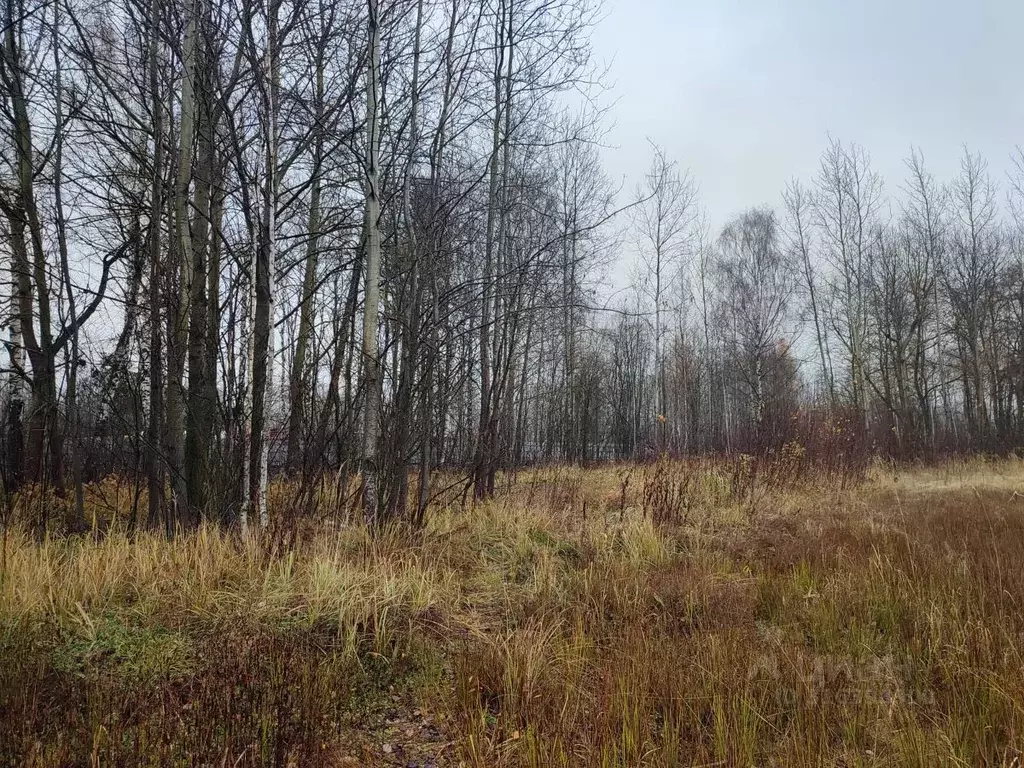 Участок в Московская область, Ликино-Дулево Орехово-Зуевский городской ... - Фото 1