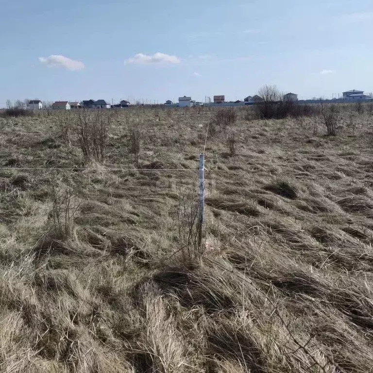 Участок в Калининградская область, Гурьевский муниципальный округ, ... - Фото 1
