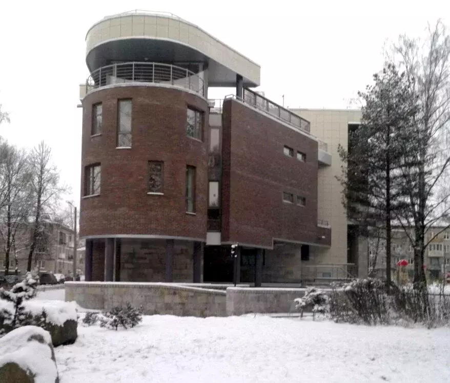 4-комнатная квартира: Павловск, Лебединая улица, 1 (133.2 м) - Фото 2