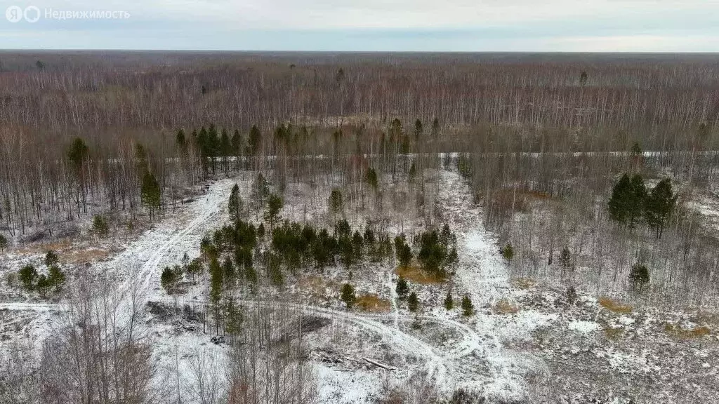 Участок в Тюменская область, Нижнетавдинский муниципальный округ, ... - Фото 1
