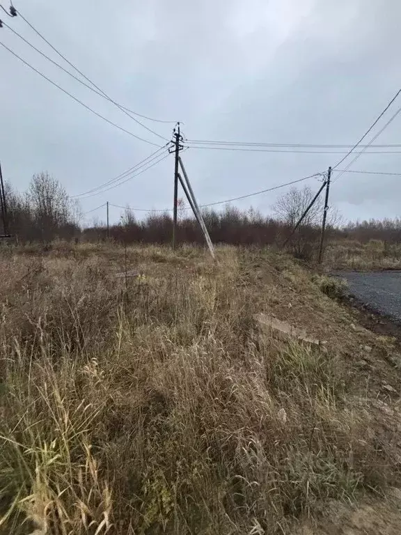 Участок в Ленинградская область, Всеволожский район, Лесколовское ... - Фото 2