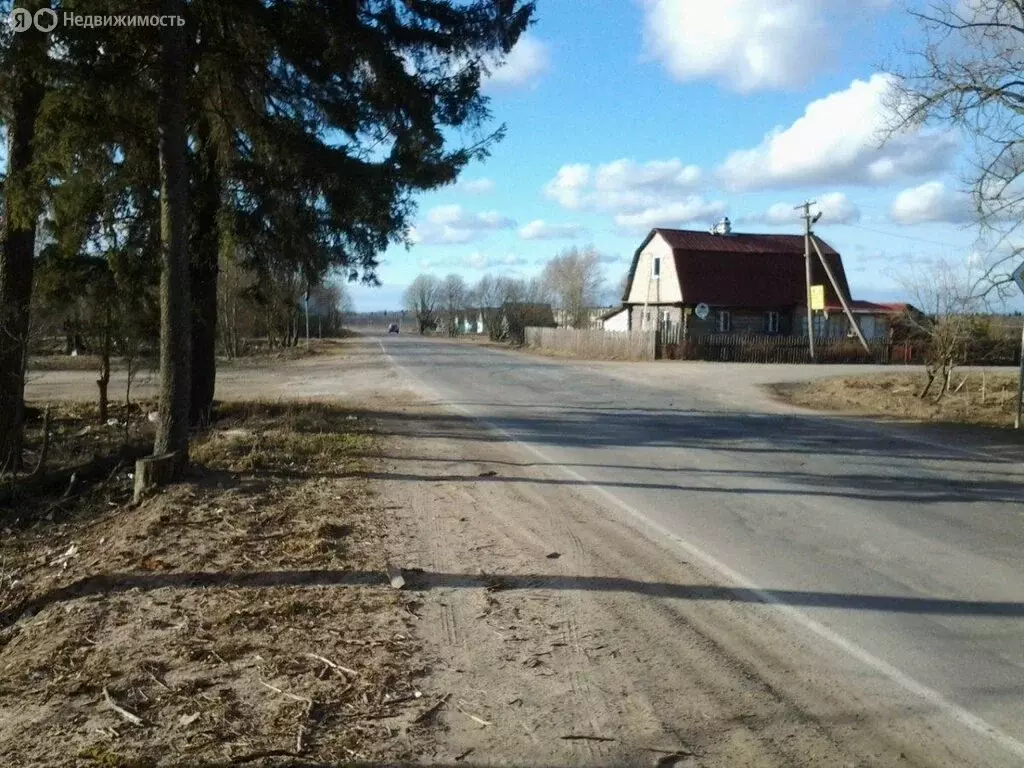 Участок в Волосовский район, Бегуницкое сельское поселение, деревня ... - Фото 2