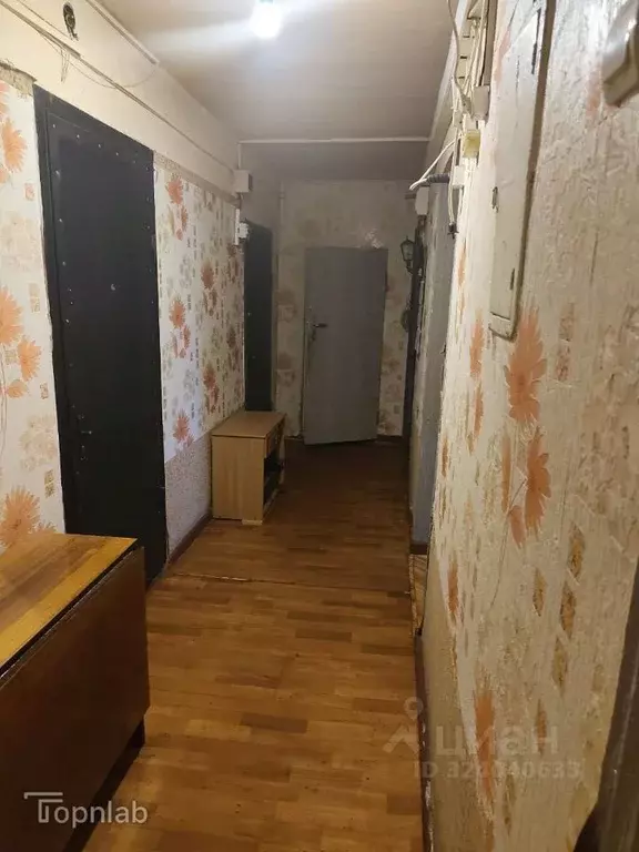 Комната Калининградская область, Калининград ул. Александра Невского, ... - Фото 1