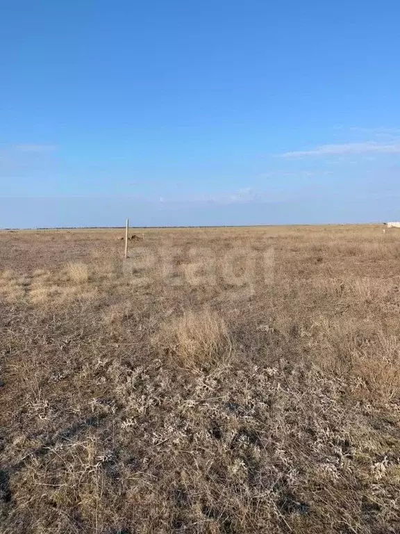 Участок в Крым, Раздольненский район, Славновское с/пос, Отдых СНТ  ... - Фото 1