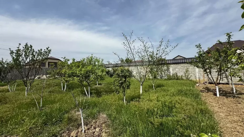 Участок в Дагестан, Махачкала городской округ, Ленинкент пгт ул. ... - Фото 1