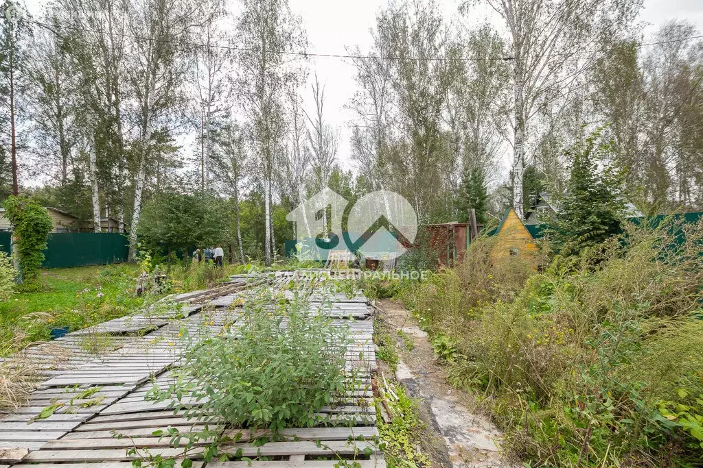 Участок в Колыванский район, садовое товарищество Калина красная (4.7 ... - Фото 0