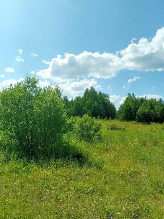 Участок в Нижегородская область, Бор  (19.0 сот.) - Фото 1