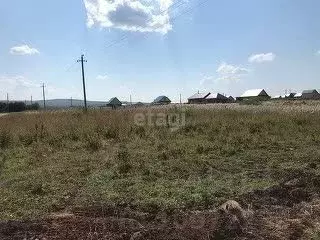 Участок в Башкортостан, Гафурийский район, Красноусольский сельсовет, ... - Фото 0