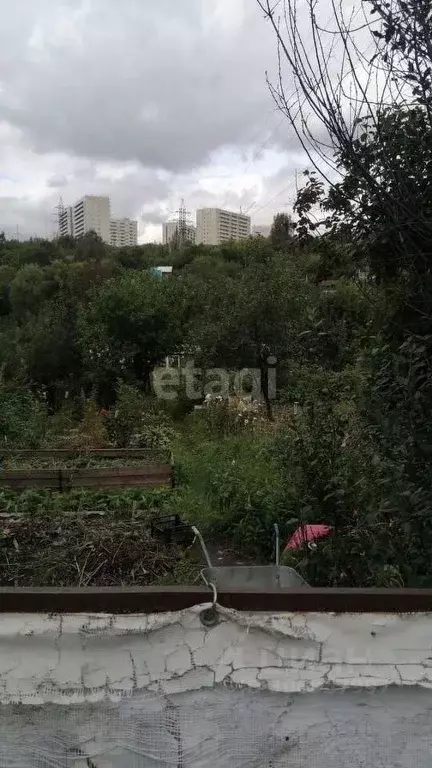 Участок в Новосибирская область, Новосибирск ул. Набережная Плющихи, ... - Фото 0