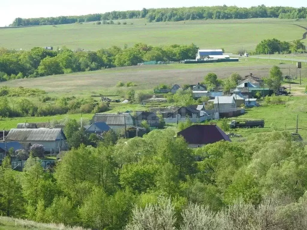 Участок в Саратовская область, д. Докторовка ул. Дачная, 5 (30.0 сот.) - Фото 2
