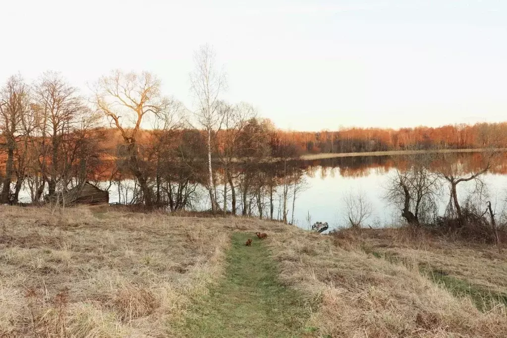 Участок в Псковская область, Пустошкинский район, Гультяевская ... - Фото 1