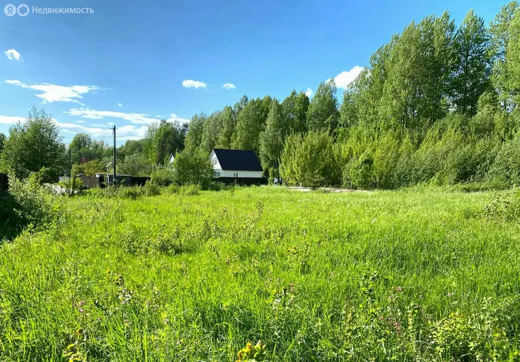 Участок в посёлок Ромашки, коттеджный посёлок Прохладное Озеро (15 м) - Фото 0