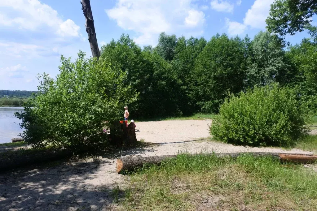 Дом в Воронежская область, Рамонь рп ул. Лесная, 3 (56 м) - Фото 2