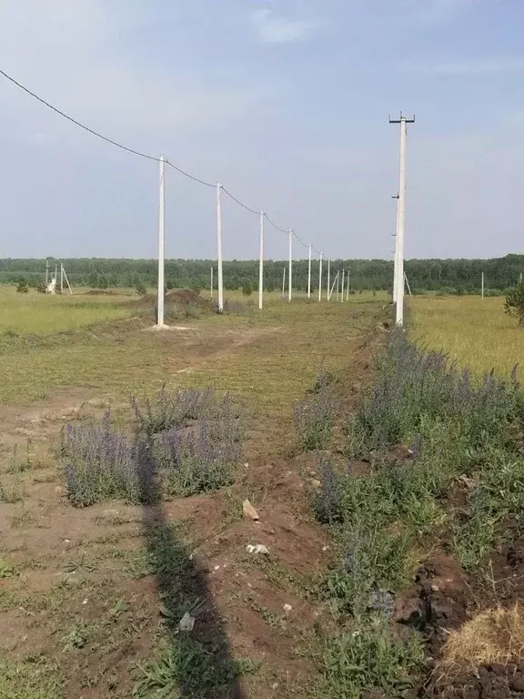 Участок в Челябинская область, Сосновский район, Кременкульское с/пос, ... - Фото 1