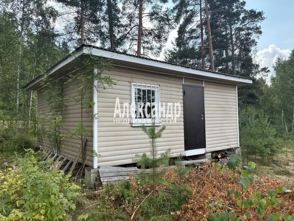 Участок в Ленинградская область, Приозерский район, Ларионовское ... - Фото 2