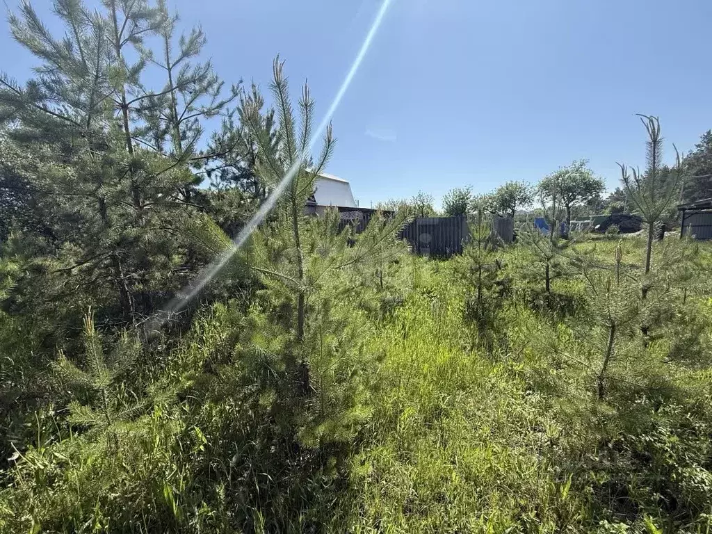 Участок в Белгородская область, Белгородский район, Дубовское с/пос, ... - Фото 0