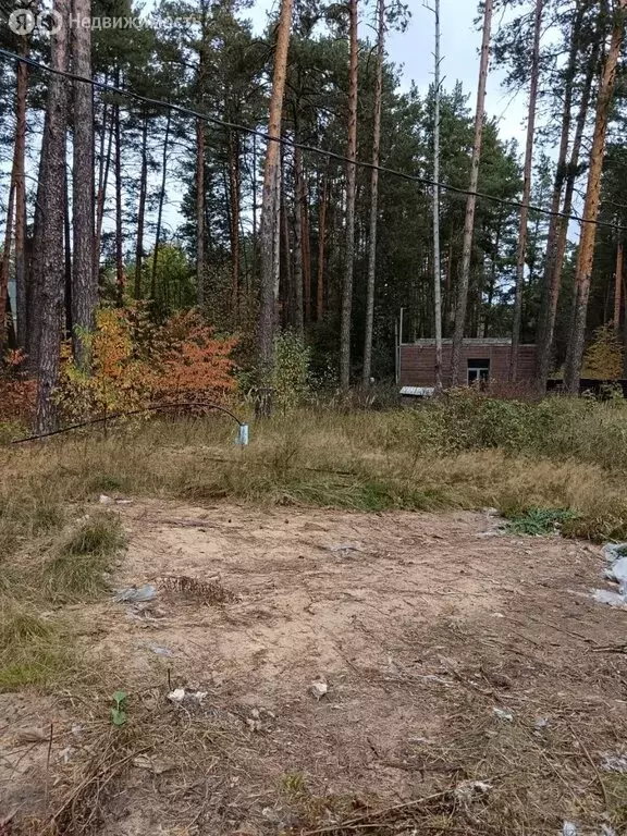 Участок в Нижегородская область, Володарский муниципальный округ, ... - Фото 1