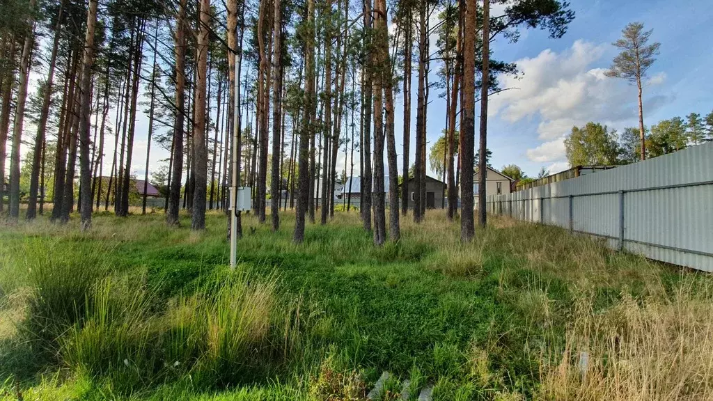Участок в Ленинградская область, Гатчинский район, Вырица городской ... - Фото 1